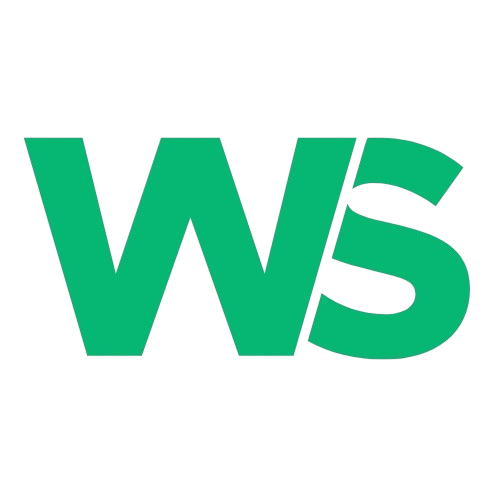 ws favicon